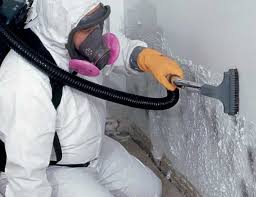 Best HVAC Mold Inspection and Cleaning in Mapleton, MN